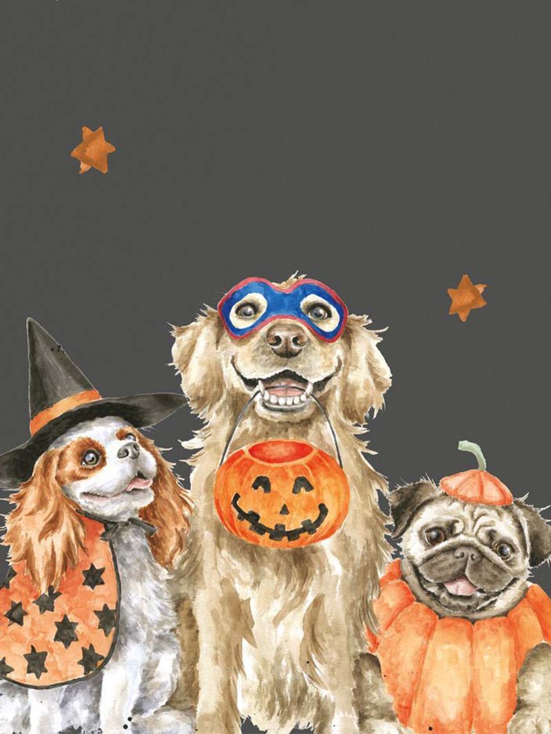 Adorable Dog Halloween Wallpaper With Pups in Spooky Costumes