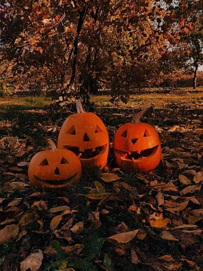 Cozy Autumn Halloween Wallpaper