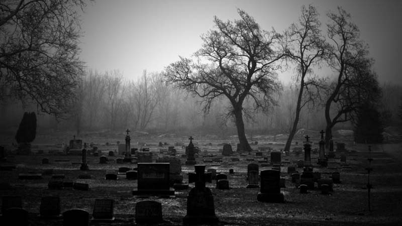 Dark and Foggy Scary Graveyard Background for Spooky Scenes