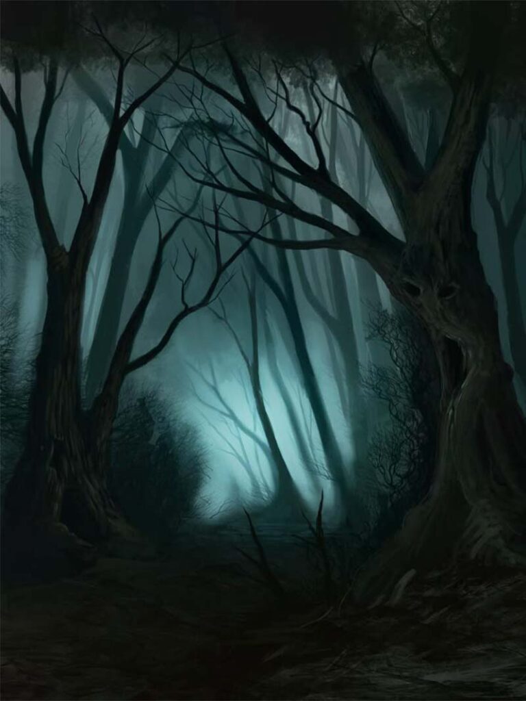 Dark and Mysterious Spooky Forest Background