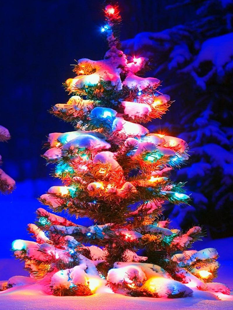 Sparkling Christmas Wallpaper Lights for a Magical Holiday