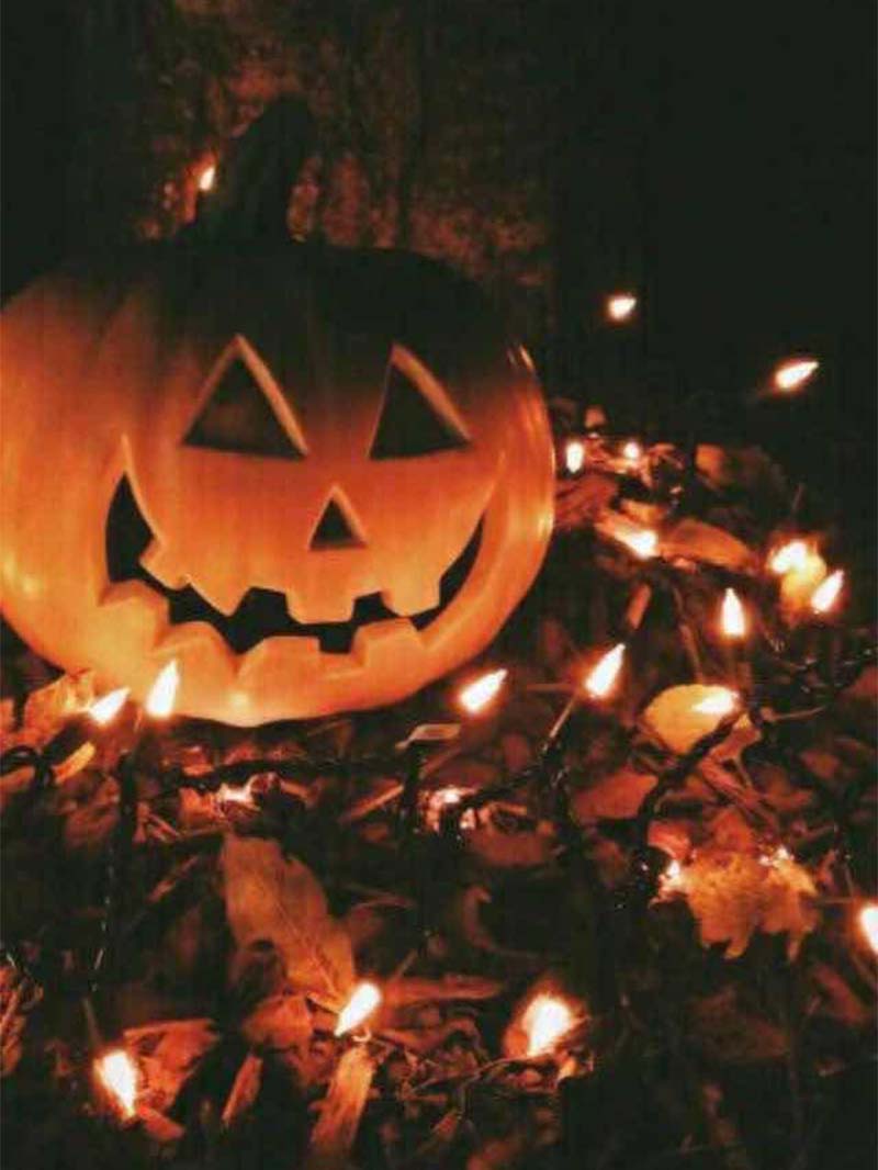 Spooky Autumn Glow with Enchanting Fall Pumpkin Wallpaper