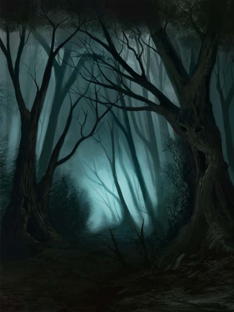 Misty Path Through Eerie Woods Spooky Forest Wallpaper