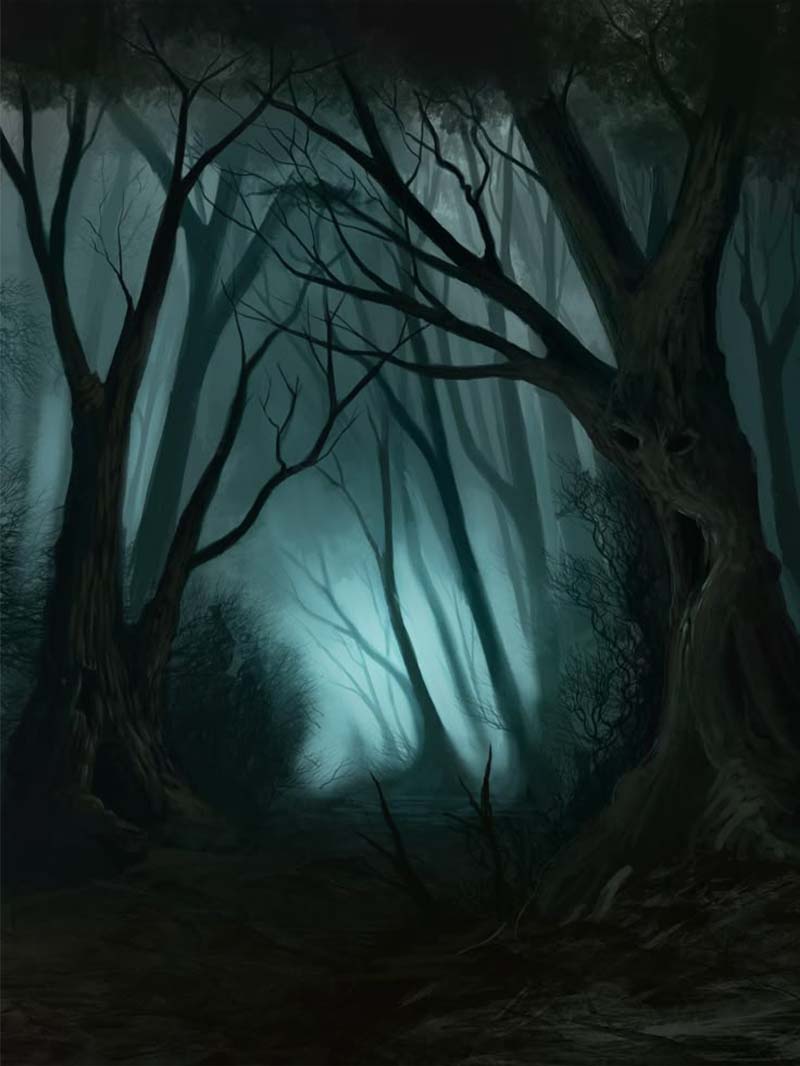 Misty Path Through Eerie Woods Spooky Forest Wallpaper
