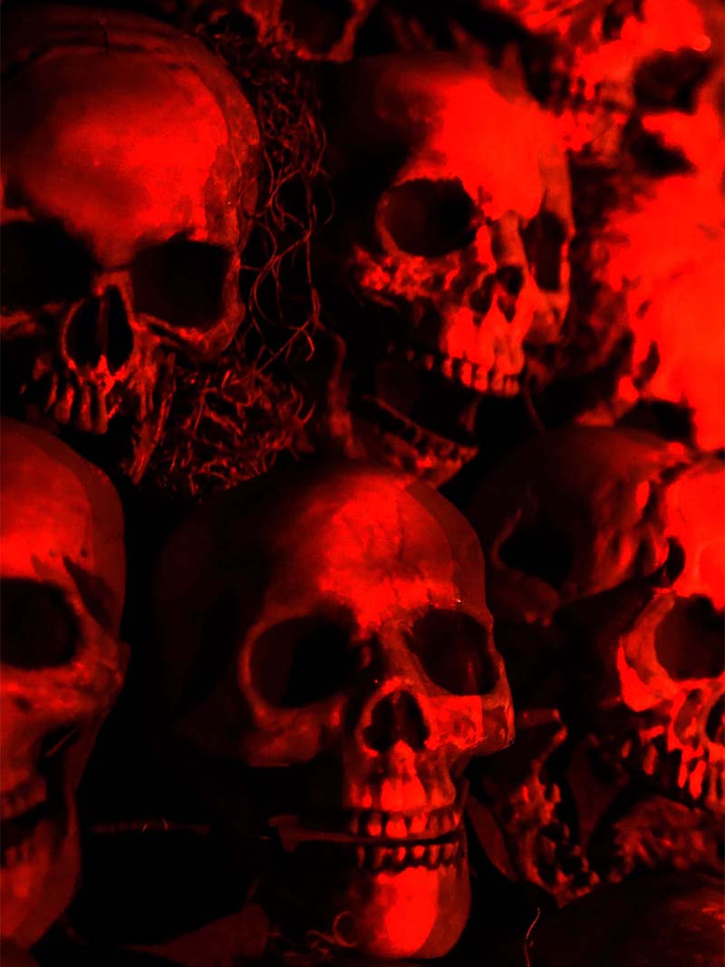 Really scary wallpaper with red skulls and dark shadows