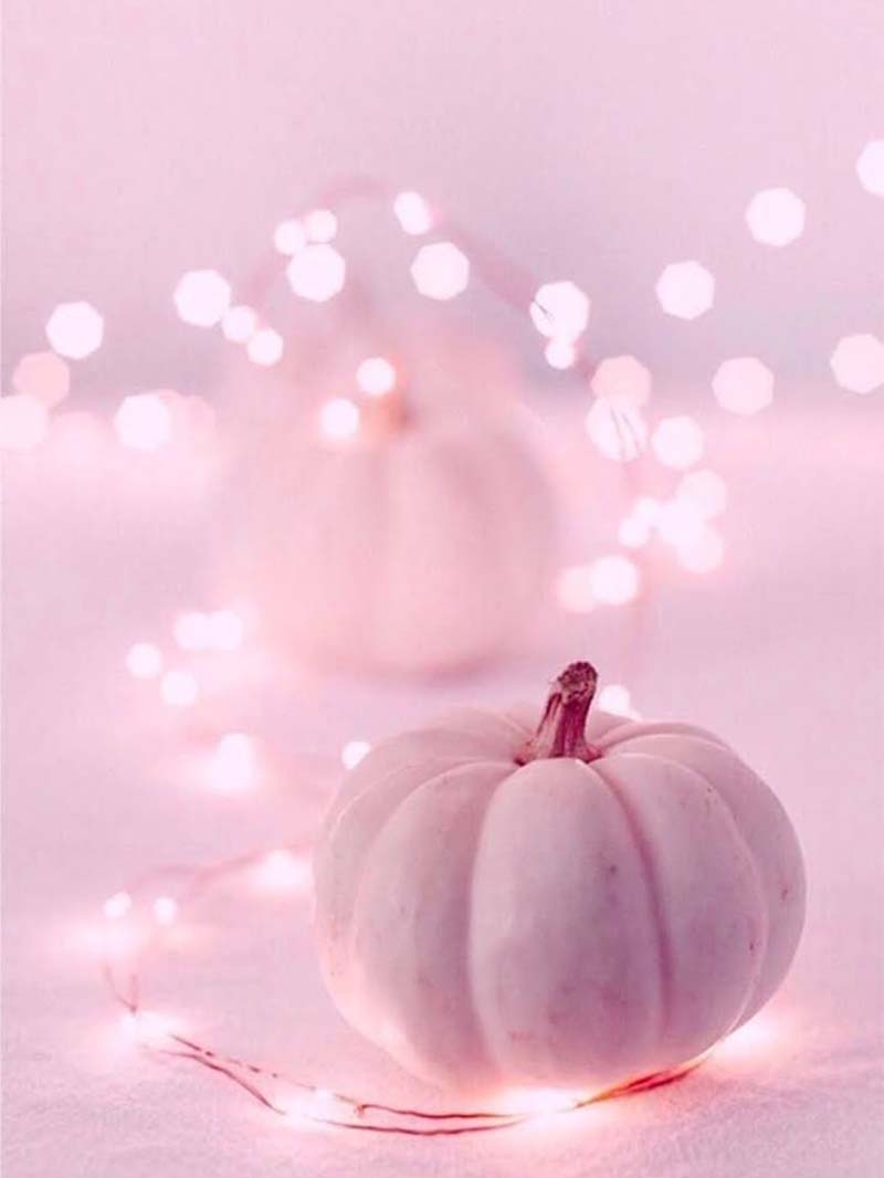 Soft Glow: Aesthetic Pink Pumpkin Wallpaper Background